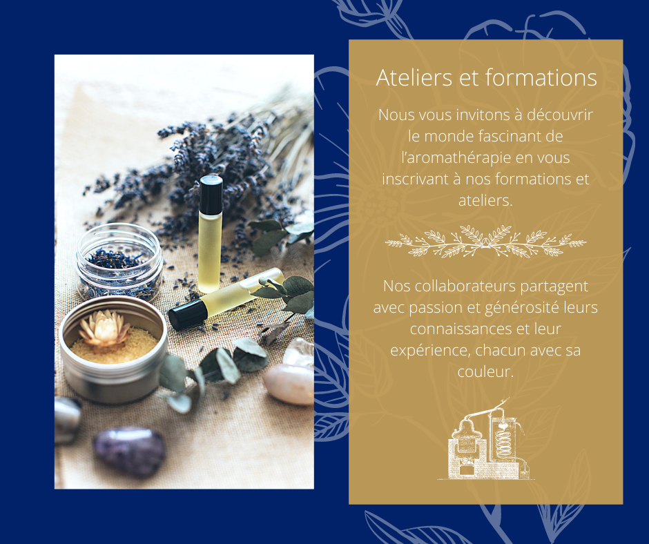 Ateliers et formations Zayat Aroma